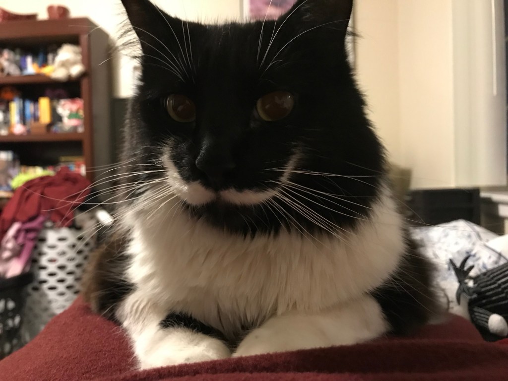 NAaNrZRzTrW3n5F8m+a7Rw